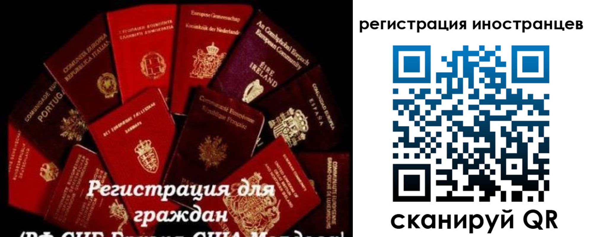 прописка иностранных граждан в Данилове
